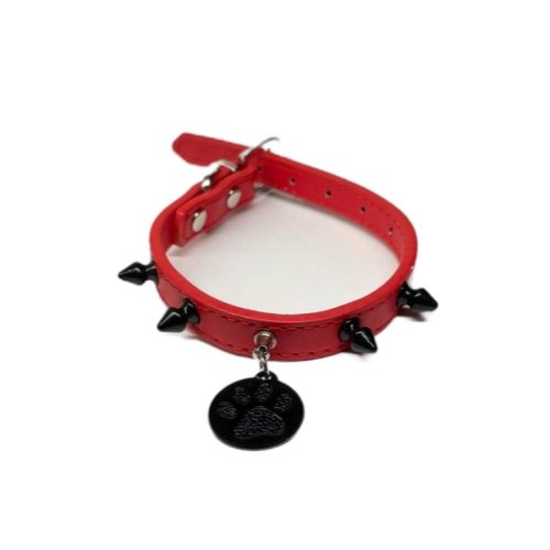 South Points-Engraved (Mini)