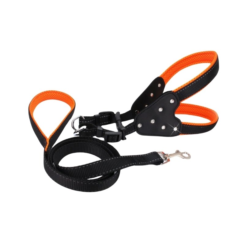 dog-harness