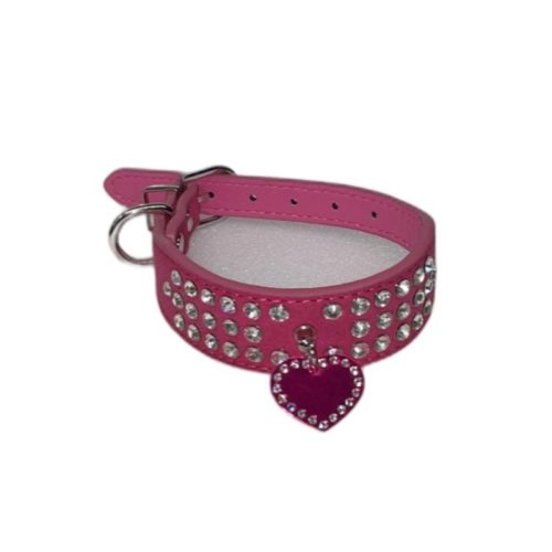 Paris for Cats-Engraved