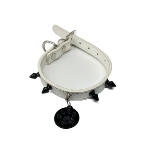 South Points for Cats-Engraved