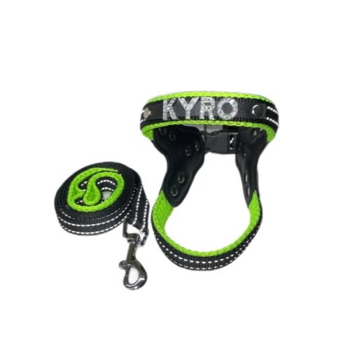 Custom Harness for Cats-Personalized