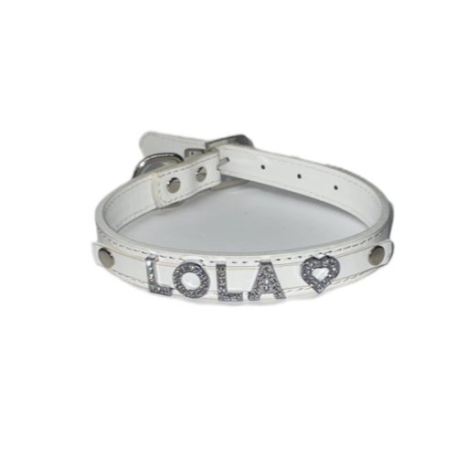 Vegas Dog-Personalized