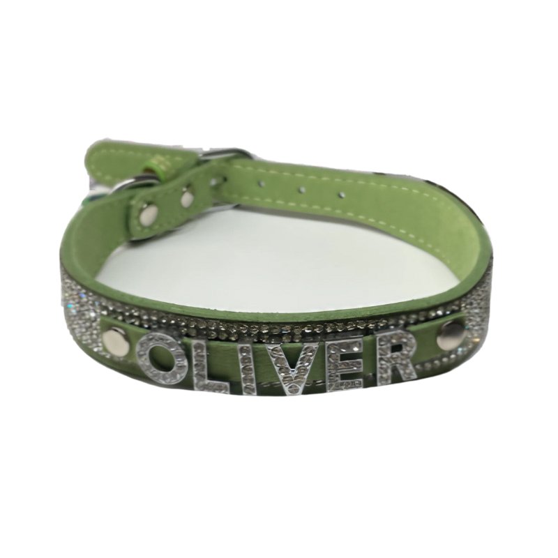 dog-collars