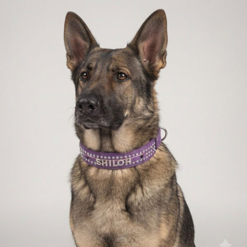 SHILOH