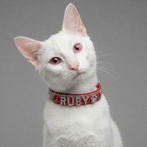 ruby