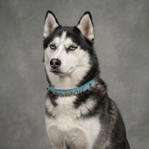 SAMSON