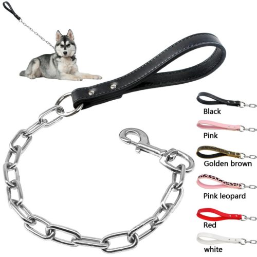 The Controller Short Chain Dog Leash
