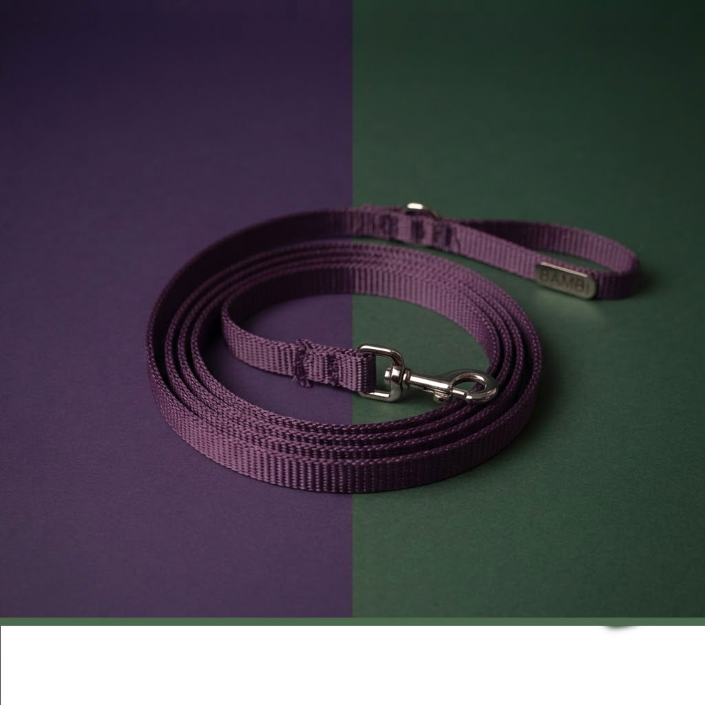 cat-leashes