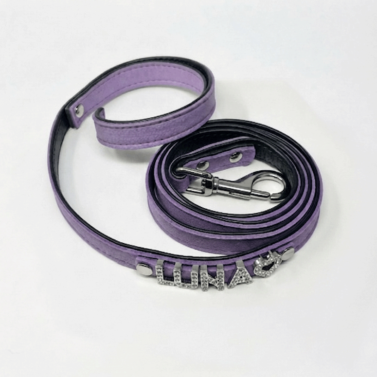 dog-leashes